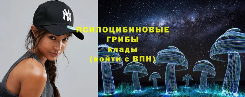 Псилоцибиновые грибы Magic Shrooms  купить закладку  Александровск 